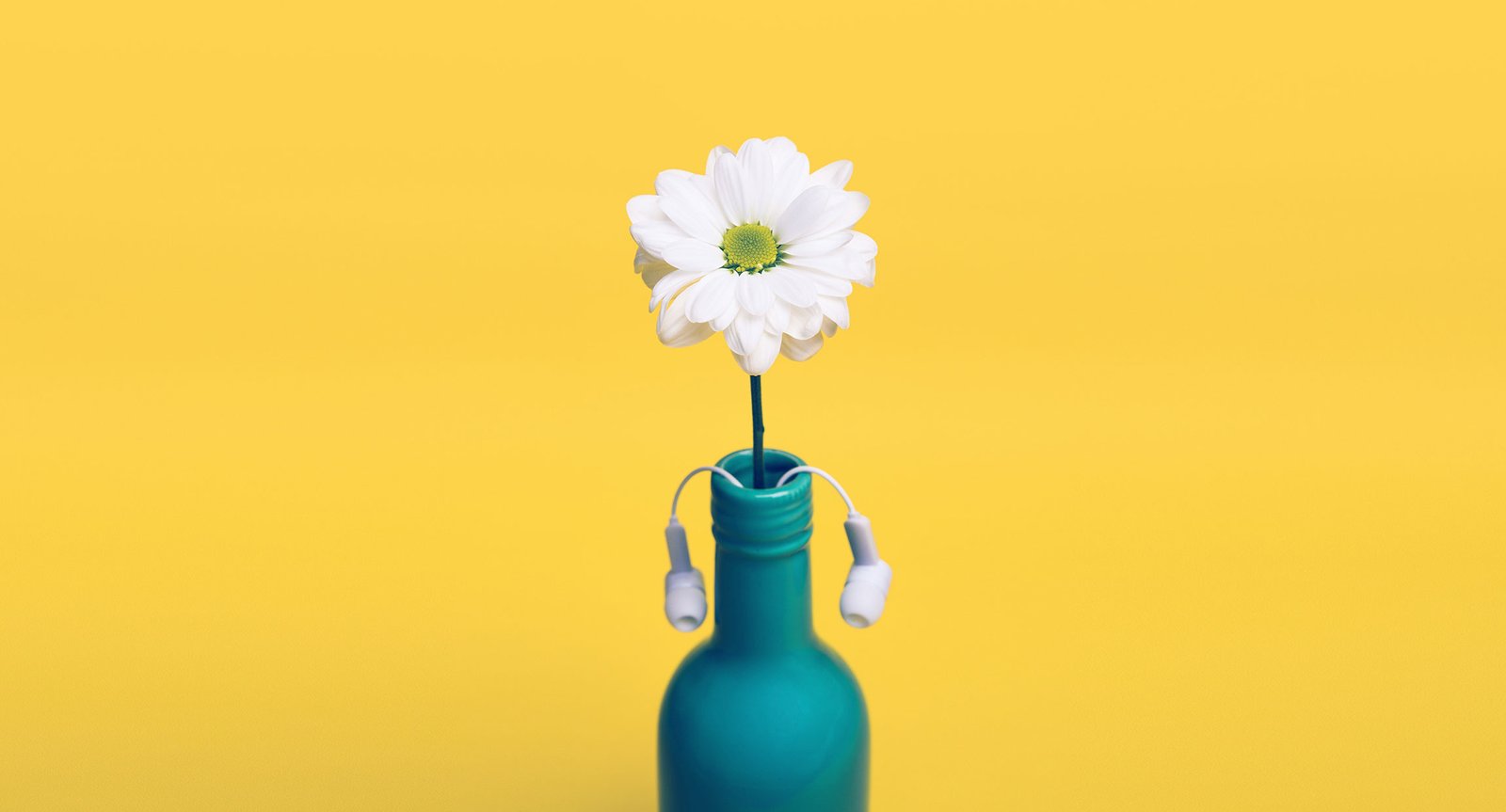 yellow-daisy-bottle-vase-headphones-earbuds-decor